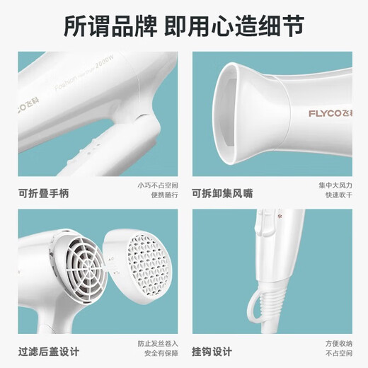 Séchante de cheveux Flyco Home High Power Hair Dryer Voyage Portable Hair Dryer Drive Hot and Cold Air Barber Pliage Fh6232 FH6232 White [2000W pliable]
