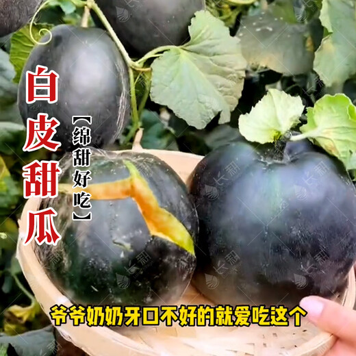 Long-cultivated black beauty melon seeds old variety black skin red flesh dry noodle melon seeds spring and summer seasons potted melon seeds black beauty melon seeds 5g * 5 packs