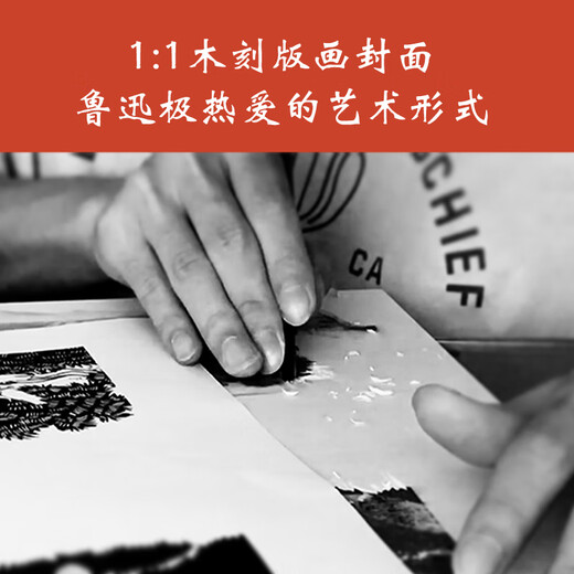 Recogiendo flores por la mañana y por la noche (¿quién nunca ha sido travieso y problemático? ¡Lu Xun también era un maestro en atrapar gorriones y grillos! ¡Imprima la edición de colección de portada!) (Reader Classic Library)