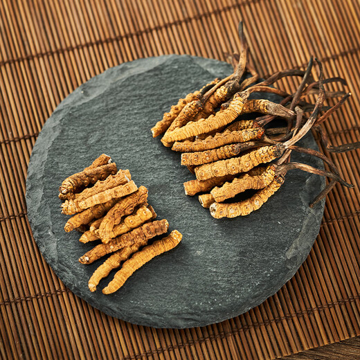 Shengdikangzang [Festliches Geschenk] Wild Cordyceps sinensis in Nagqu Nagqu Nagqu hochgeladener Cordyceps ausgewählter Geschenkbox großes gebrochenes Gras 10g Pack