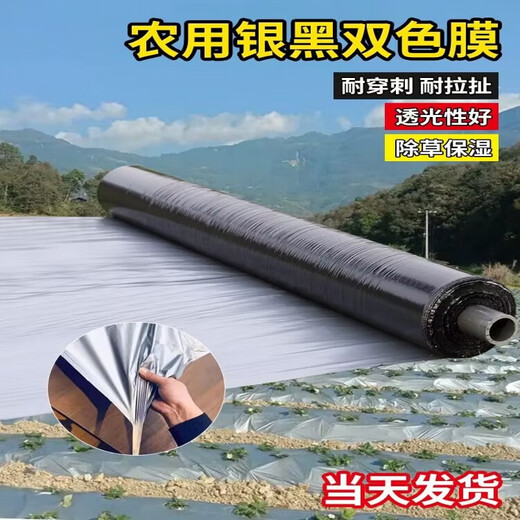 Silver and black two-color mulch film, new material, thickened insect-proof reflective mulch film, weeding film, thermal insulation agricultural mulch film, silver black 5Jin Jin equals 0.5kg 1.2 wire thick 0.6m wide 260m long