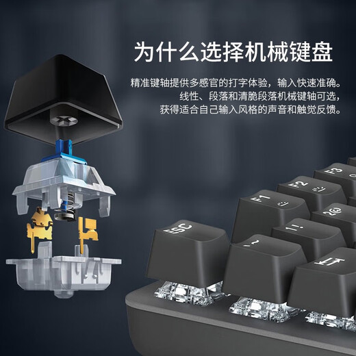 Logitech K845 Mechanische Tastatur Backstreuit Wired Keyboard Game E-Sport Tastatur Tee Green und rote Achse Keyboard DIY Keycaps Office Game Keyboard und Maus-Set in voller Größe.