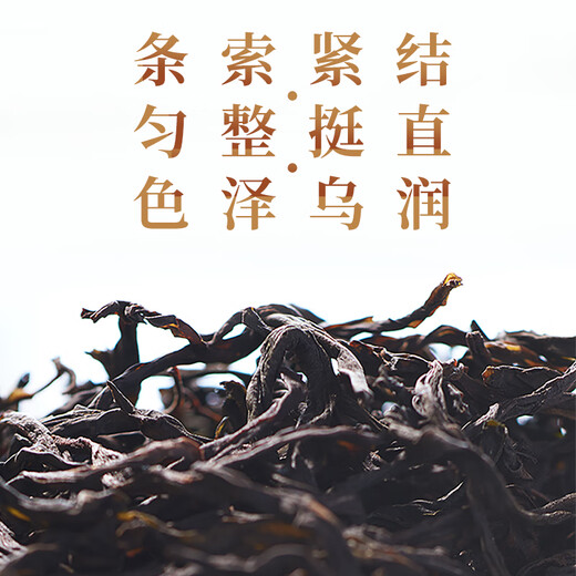 Songhuang Oolong Tee Miyun Xiaosing Phoenix Single Cong Milanxiang Spezialstufe 50G mittelfeuer Boxed Enterprise Custom Geschenkkerngänger
