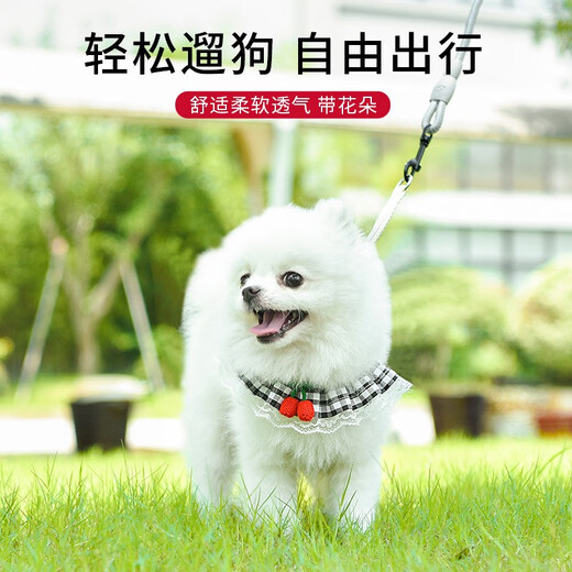 拉维佩特（LOVINGPET） 狗狗牵引绳胸背带 可调节泰迪狗绳子小型犬牵引绳幼犬猫咪牵引绳 粉色 S 3-8斤左右 胸围30-50cm