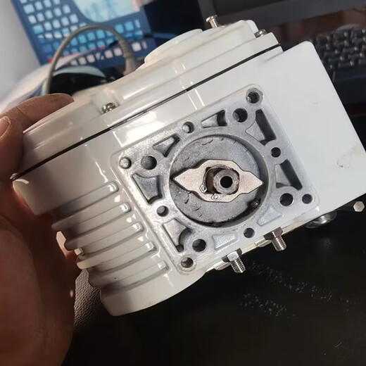 CNAOM DC24V electric actuator ODL-05B customized M8