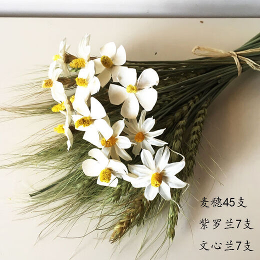 AIMAN dried flower pine cones, cotton eucalyptus leaves dried flowers, Nordic style ins small fresh home decoration ornaments bouquet pine cones, eternal pink baby's breath + thousand day powder + cotton + bouquet, dried flower bag