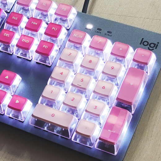 罗技（Logitech） K845机械键盘 有线键盘办公全尺寸键盘 电竞游戏发光键盘 吃鸡键盘 diy键帽 情人节礼物 K845【Lollipop girl】-茶轴