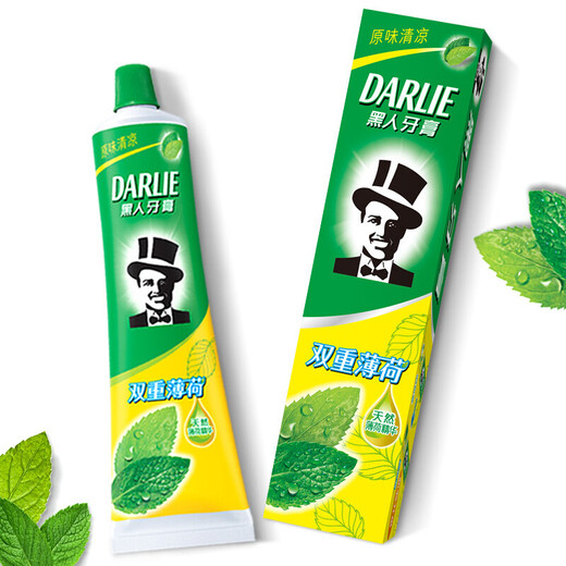 DARLIE好来(原黑人)牙膏  实惠装双重薄荷清新口气 双重薄荷 225g 1支