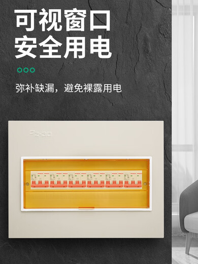 定制PZ30配电箱盖板家用电表箱面板强电箱电箱盖板盒配件空开照明 双排30回路面板(大型)