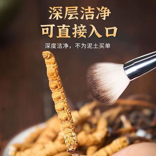 
Kangyuan Tibetan grassland Cordyceps sinensis high-altitude dry goods Cordyceps health supplements gift gifts for parents, elders and colleagues high-end gift boxes 4 pieces per gram 20 pieces of crystal tube gift boxes