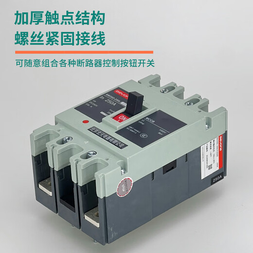 北元电器塑壳式直流断路器BM30D-125L/2P 3P/250A 400A 630A 50A BM30D-125L/2300