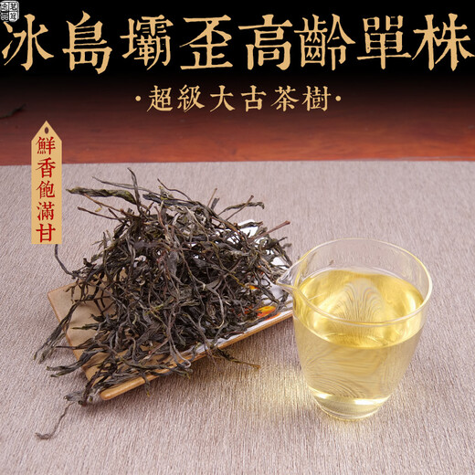 Mingguan Zhongpin 23-year-old spring tea, Iceland Bawai senior single ancient tree loose tea, Yunnan ancient tree tea, Pu'er tea loose tea 500g