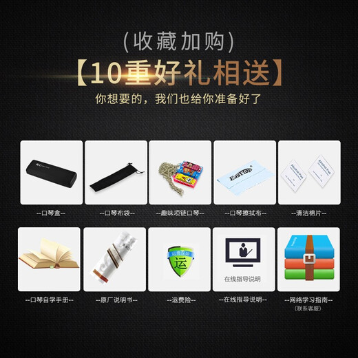 国光老品牌口琴28孔重音C调专业演奏级24孔复音初学者学生男女入门琴 28孔黑色复音+赠品【带音标】