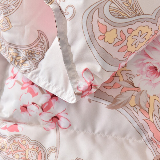 Naisdi 95 white goose velvet winter quilt, down quilt, large water-washed white goose quilt, thickened double winter quilt, winter style 220*240cm
