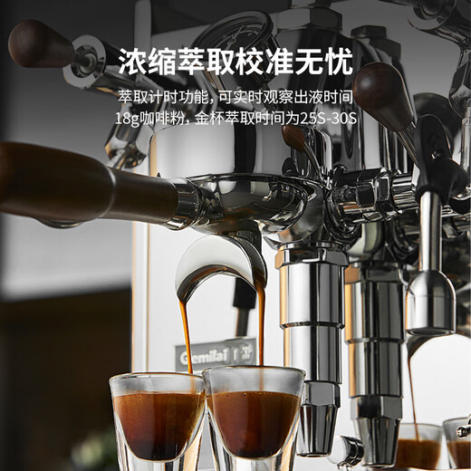 GEMILAI government subsidy Beluga semi-automatic coffee machine E61 brewing head high-performance household commercial boiler G3035 stainless steel
