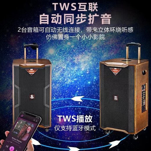 MALONE outdoor square dance audio high-power heavy bass live broadcast singing karaoke performance with Bluetooth sound card wireless microphone portable trolley speaker 10-inch audio + 18.5-inch karaoke machine 500G official standard configuration