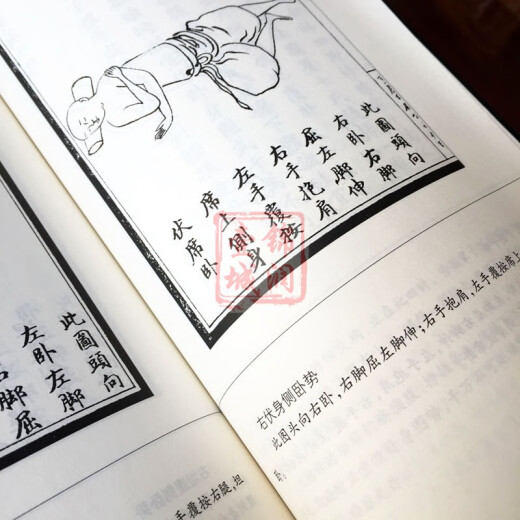 增演易筋洗髓内功图说(上下卷684页)此书得于少林空悟大师周述官 师周述官版