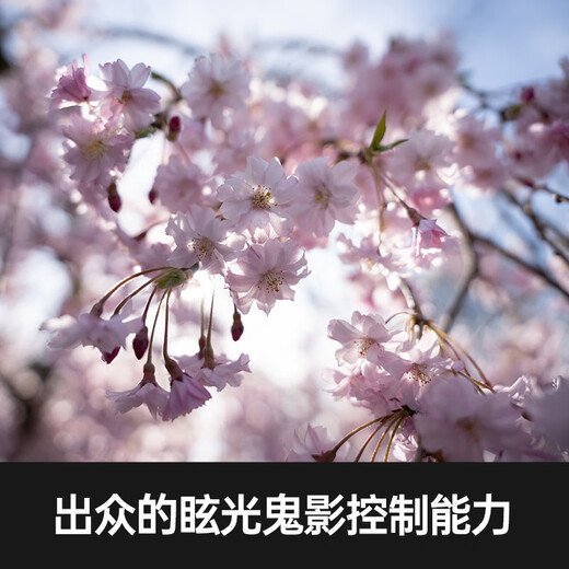 SIGMA Art 24-70mm F2.8 DG DN second generation full-frame mirrorless camera constant large aperture 2470 portrait scenery travel live broadcast (Sony E-mount)