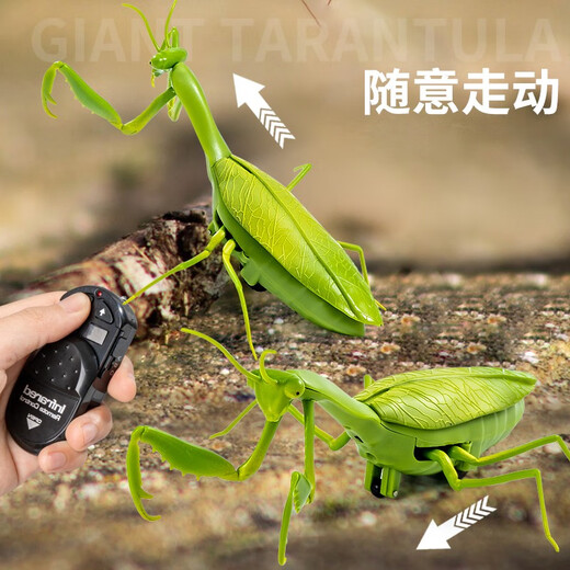 Qisen Fernbedienung Mantis Elektrische Simulation Kinderspielzeug Streich kreativer Artefakt Kakerlake 3 Jungen können Krabbeltiere Fernbedienungskontrolle Lady Käfer Red 9922+ Schraubendreher Offizieller Standard bewegen