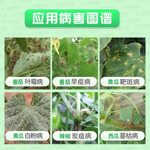 Bayer Alemania Lunasen pepino mancha objetivo enfermedad sarna de la uva fresa rosa mildiú pesticida fungicida 100ml