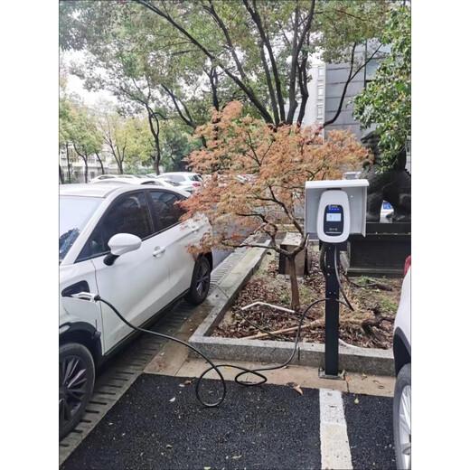 Wing Ying Charging Pile Column Pole New Energy Electric Vehicle Charging Station Outdoor Rainproof Anti-rust Hanging Wire Bracket Base 50-100 Column + Hook + Backplate (Thickened Version)