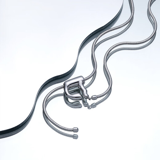 VIGG word necklace women's high-end design niche letters 2024 new light luxury high-end clavicle chain D word necklace