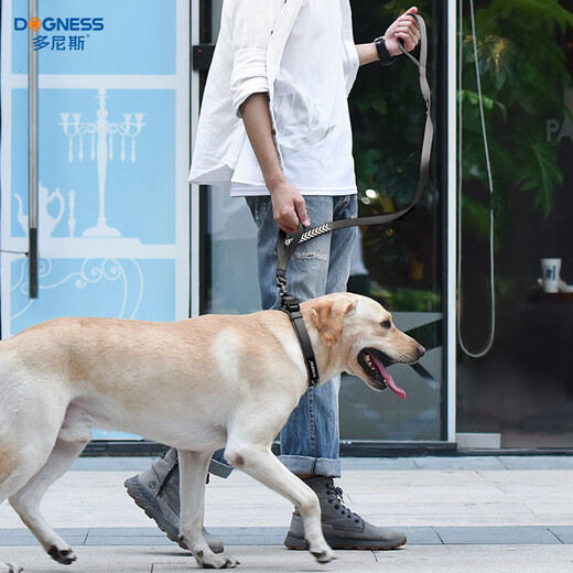 DOGNESS Dog Leash Dog Leash Dog Chain Collar Medium and Large Dog Labrador Shiba Inu Golden Retriever Border Collie Black L