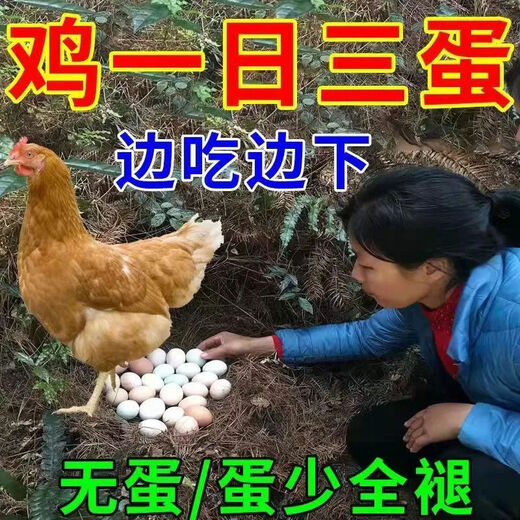 Hen wake-up medicine to prevent hens from laying eggs. Medicine for chickens, ducks and geese to lay eggs. Special Egg Duoduo feed additives for hens not to lay eggs. Five bags.