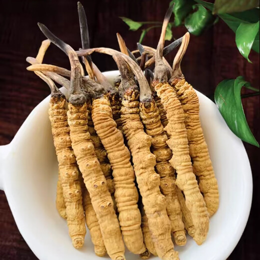 
(Support quality inspection) Genuine Cordyceps gift box dried Cordyceps authentic guaranteed to give people a gift with face Naqu Cordyceps three roots per gram 50 pieces for 4 pieces for 4 pieces for three pieces for gram of Cordyceps
