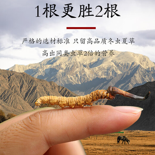 Cordyceps sinensis Tibetan Cordyceps 1 gram high-altitude Cordyceps gift box in high-altitude Cordyceps sinensis dry goods good gifts 3 gram 1 gram - 10 bottles