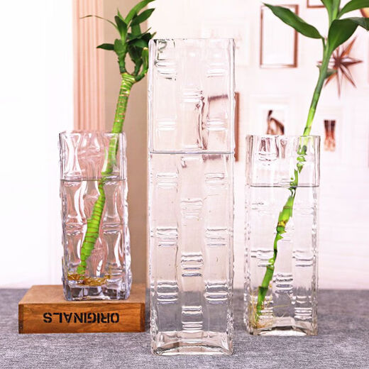 Stone tree thickened large rich bamboo dragon bamboo transparent glass vase hydroponic water cultivation fresh dried flowers living room flower arrangement floor vase diameter 15 height 40CM bamboo tube thickened and heavier