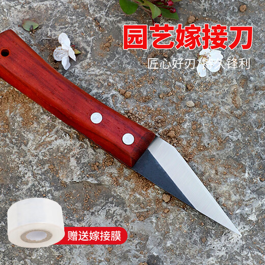 Otis grafting artifact grafting knife multifunctional handmade knife fruit tree thick tree grafting tree bud grafting knife gardening special tool knife conventional grafting knife