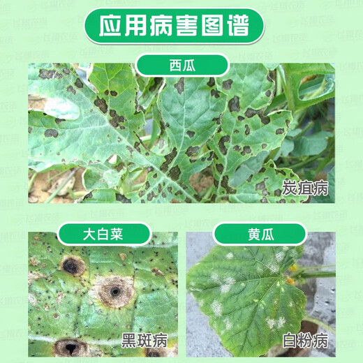 Carbon Cleaner 25% Difenoconazole Bromostrobin Watermelon Anthracnose Black Spot Powdery Mildew Fungus Pesticide Fungicide 100g