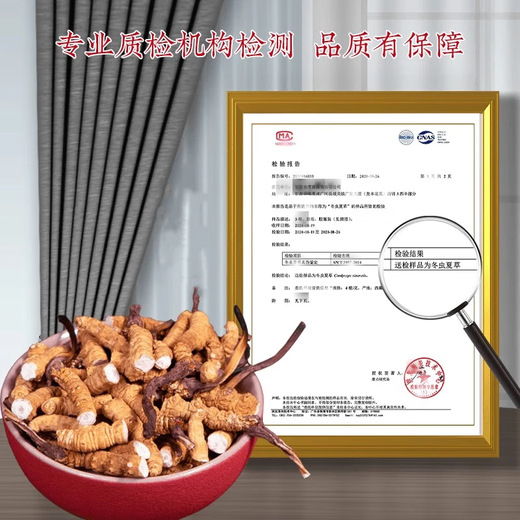 支持质检100克送10克大断草正宗冬虫夏草断草虫草断草自食滋补 虫草大断虫草 100克装送10克发110克