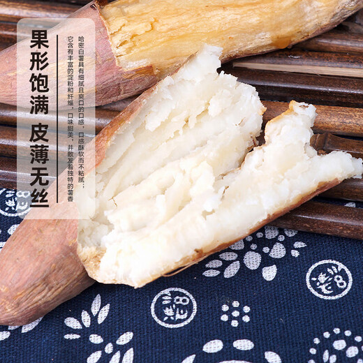 Jingxiansheng Shandong Hami rock sugar sweet potato net weight 9Jin Jin is equal to 0.5kg, single fruit 150g + family pack, delicate taste, straight from the source