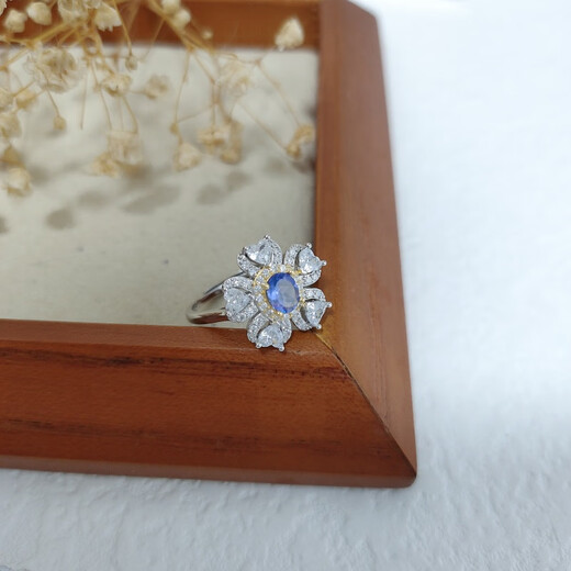 Peso Bird Chinese Valentine's Day gift quality tanzanite ring natural series color treasure women's silver live mouth adjustable crystal opening can be 3-1