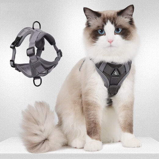 No-pet cat traction rope, vest-style harness, reflective and breathable, cat-walking rope, British short puppet pet traction rope, gray (including 1.5m traction rope) M chest 34-40cm (recommended 8.5-14Jin Jin equals about 0.5kg)