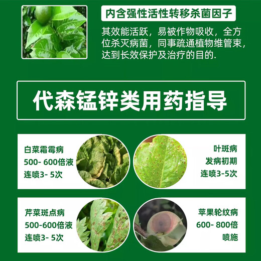 80% Mancozeb Fungicide 1000g Mancozeb Bactericide Early Blight Scab and Anthrax 1000g*1 Bag