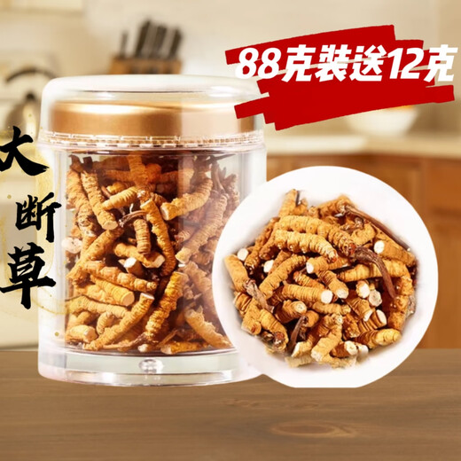 Cordyceps sinensis Snow Mountain Natural Cordyceps Sinensis große gebrochene Cordyceps Sinensis essen großes gebrochenes Gras und erschwingliche Suppe und kauen 50 Gramm Cordyceps sinensis großes gebrochenes Gras (56 Gramm Pack)