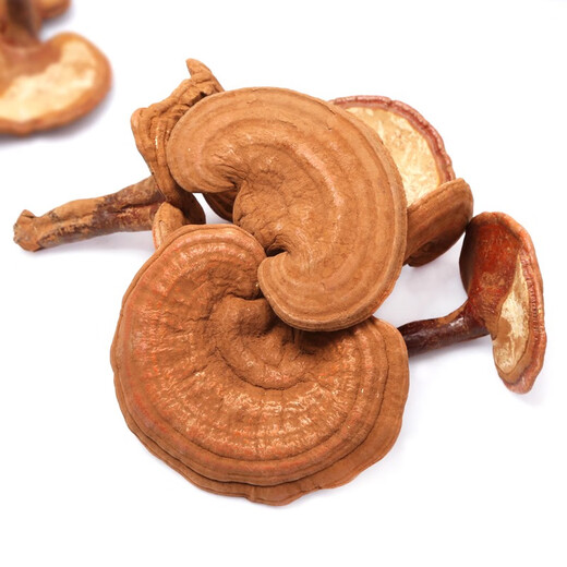 Qin Dingtai purple Ganoderma lucidum pruning Changbai Mountain Ganoderma lucidum natural red Ganoderma lucidum deep mountains basswood Linzhi soaked in wine and soup purple zhi wood linden red Ganoderma lucidum / Changbai Mountain direct hair 200 grams