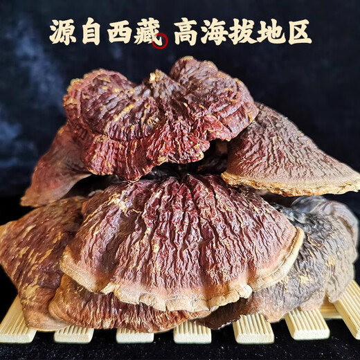 元族纯野生灵芝西藏正品干货林芝赤芝金边非孢子粉片礼盒装整枝500g克 灵芝1斤+30年以上桑黄700克以上