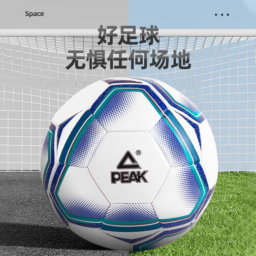 Pickleball No. 4 Children's Adult High School Entrance Examination Standard World Cup Competition Training Teenagers Primary School Toddlers No. 4 Ball