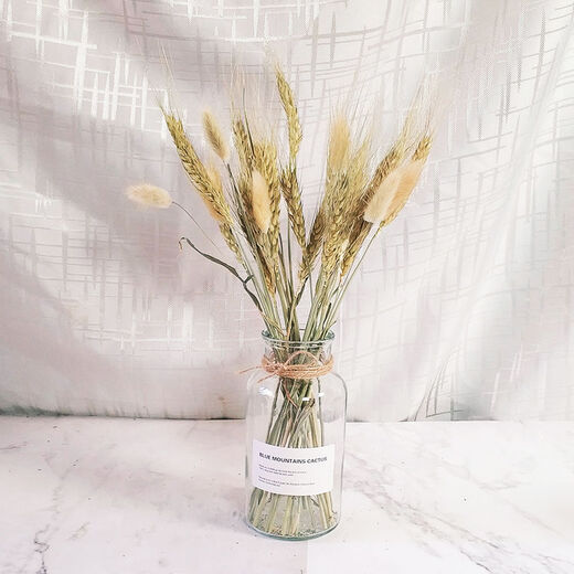 AIMAN dried flowers eucalyptus leaves Nordic style ins Nordic style small fresh living room ornaments diy home decoration ornaments SN Lover's grass a bunch without bottle 250g to dry