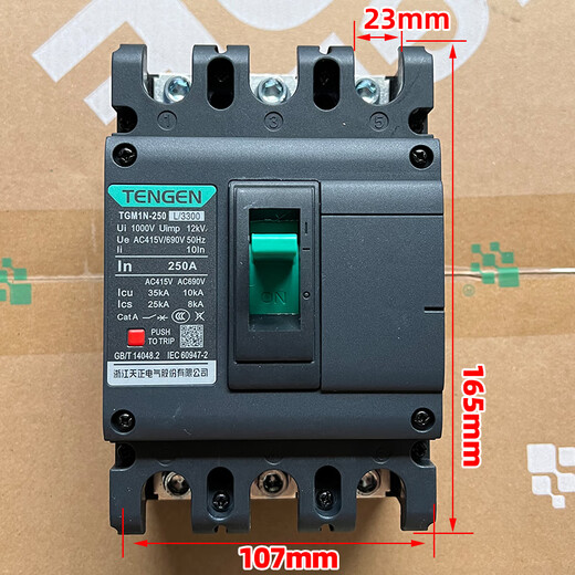 天正电气TENGENTGM1N 塑壳断路器总闸开关100A12250A400A63 TGM1N-250L/3300250A