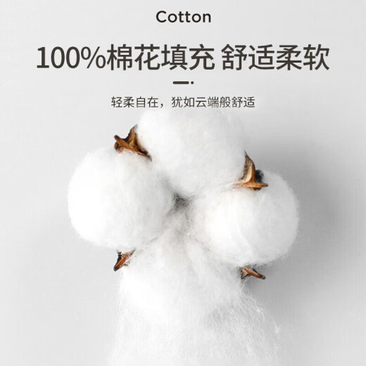 Nanjiren (NanJiren) 100% Xinjiang cotton quilt autumn and winter quilt 6Jin [Jin equals 0.5kg] 200*230cm
