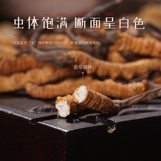 
Hu Qingyutang Cordyceps sinensis 4.6 roots/g 5g Zhahua acrylic box about 21-23 roots Tibet Cordyceps sinensis 46