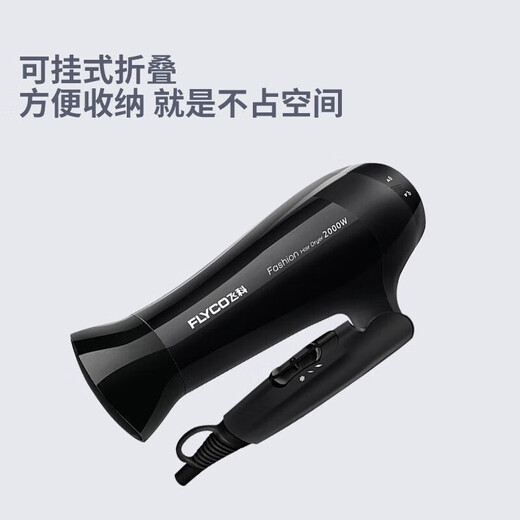 飞科电吹风机家用吹风筒速干恒温冷热风学生宿舍可折叠大功率电吹风筒 飞科FH6231黑色 2000W 普通装