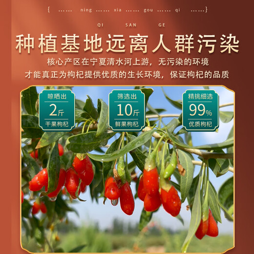 Qi Sange Ningxia Zhongning wolfberry free wash red wolfberry wolfberry wolfberry tea New Year gift gifts 250g*4 cans