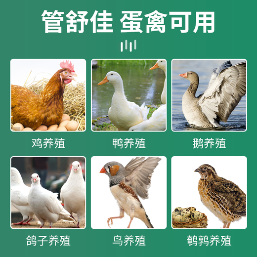 Animal Husbandry (MUPIN) Animal Husbandry Guanshujia Oviduct Kang Laying Chicken Oviductitis Duck Goose Quail Peritonitis Non-antibiotic Feed Additive Guanshujia 20Jin Jin equal to 0.5kg 10 bags