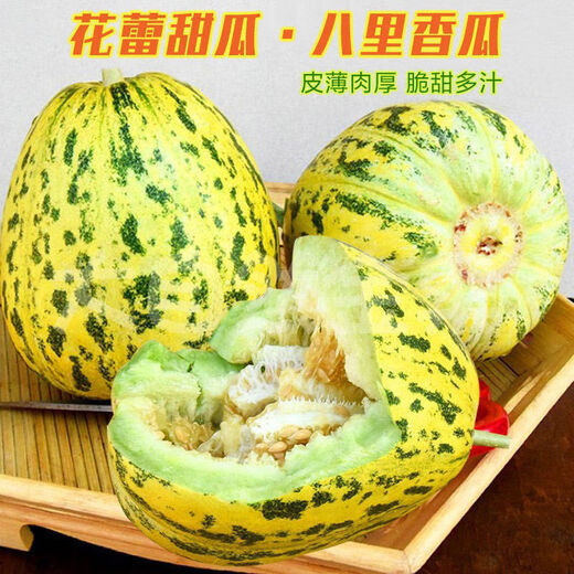 Emerald melon seeds, white thin-skinned cantaloupe seeds, four-season vegetable seeds, crispy melon seeds, early-ripening horn melons, one pack of each of 9 cantaloupe types, 38 capsules per pack + fertilizer